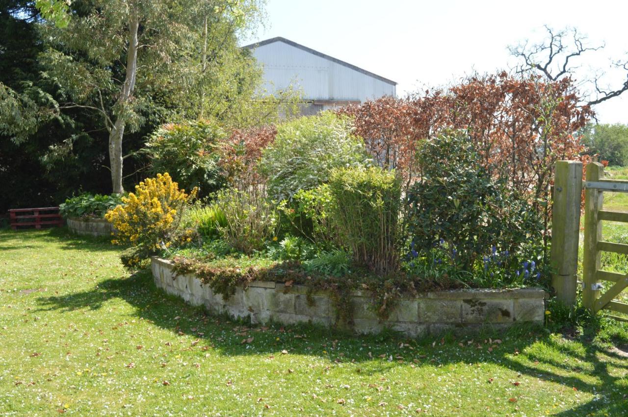 Birk House Bed & Breakfast Stamford Bridge Extérieur photo